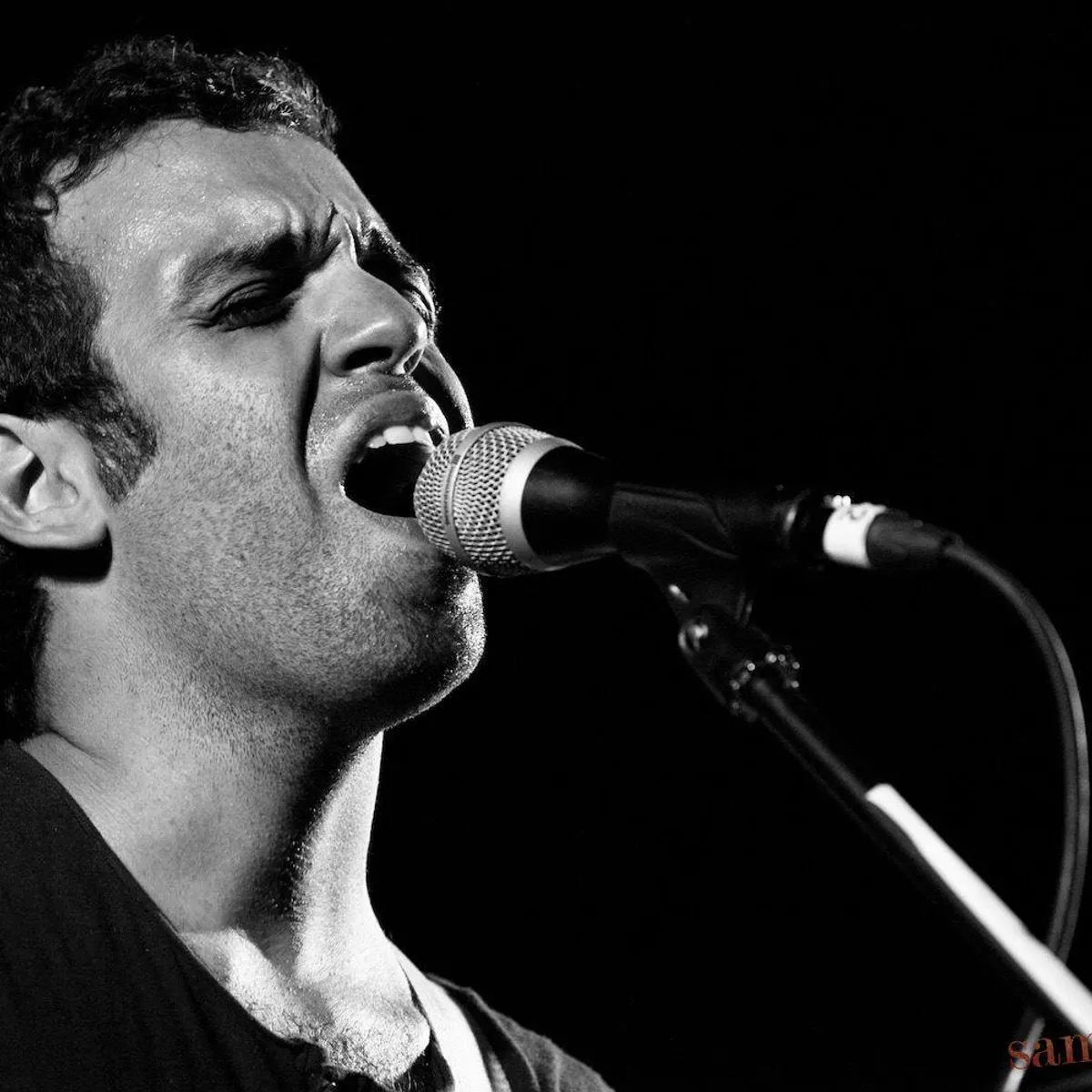 immagine di repertorio sammaurock